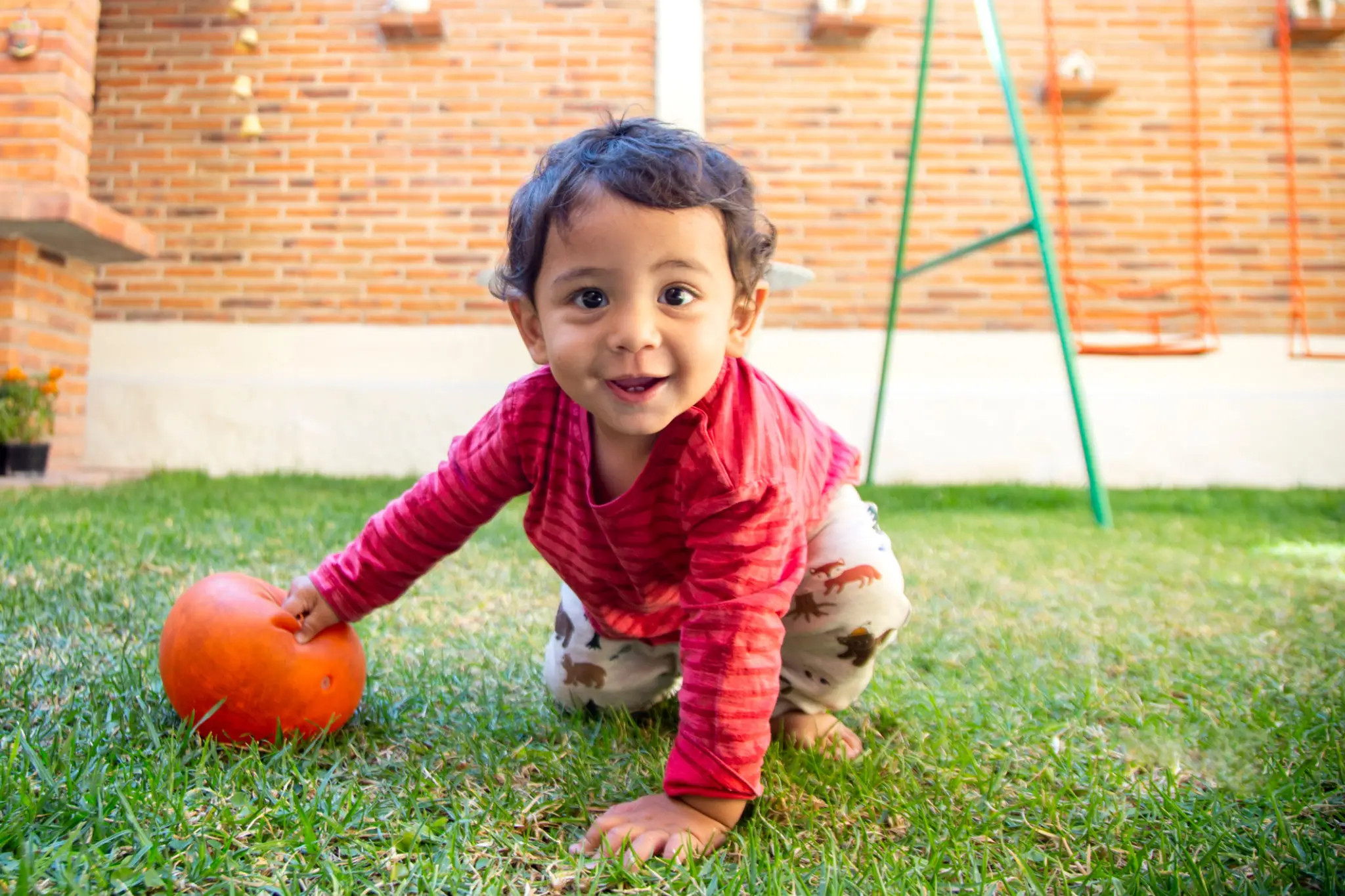 Smiling toddler crawling on grass with orange ball